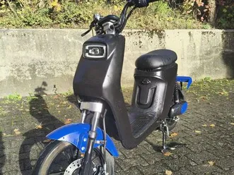 e-roller / e-scooter / citycoco yadea oz22 / bis 25kmh