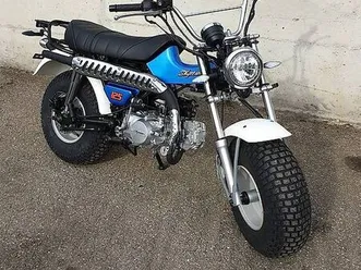 skyteam t-rex enduro