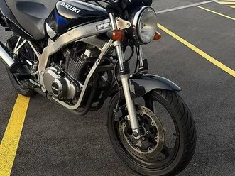 suzuki gs 500