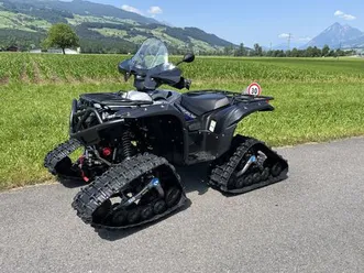 yamaha grizzly 700 raupenquad