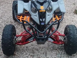 500 polaris predator