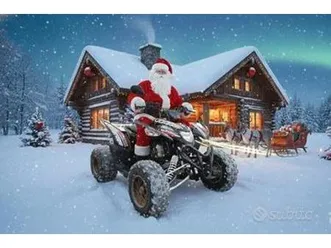 quad aeon cobra 400 promo natale leggi...