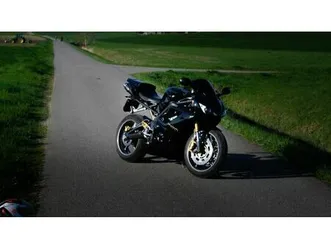 triumph daytona 675