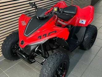 cf moto cforce110