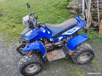 quad 50 cc