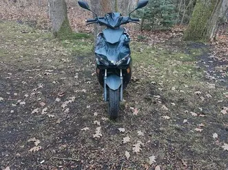 beeline pista black edition