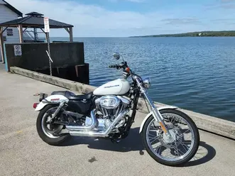 2005 harley sportster custom 1200xl