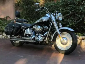 harley davidson - fat boy