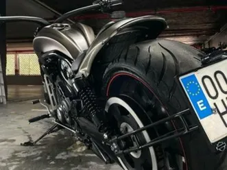 harley davidson - night rod special