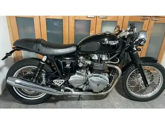 triumph - thruxon 900