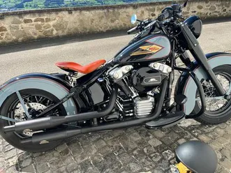 harley davidson softail slim s