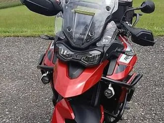 triumph tiger 900 gt pro - tiefergelegt