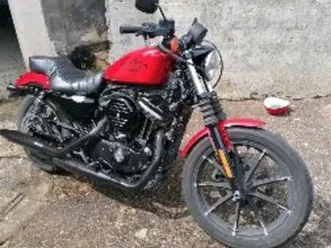 harley iron xl 883 n