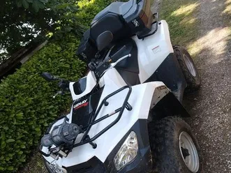 quad-300-mxu-r-2016-treuil