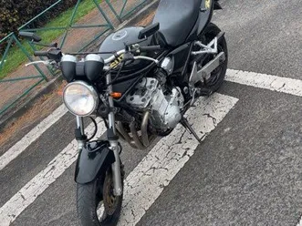 suzuki bandit