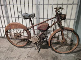 ducati cucciolo originale