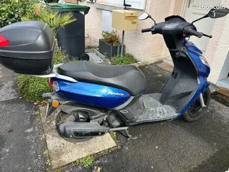scooter kisbee