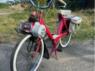 solex 3800 1966
