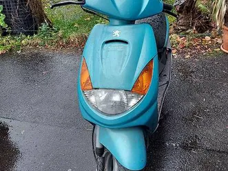 scooter peugeot vivacity 50 il günstig zu verkaufen canton berne -