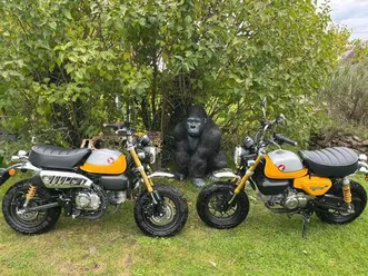 honda monkey 125