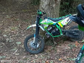 dirt bike 50 cc automatique 2 temps luxe 12/14 pouces
