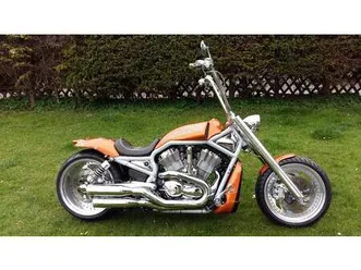 harley davidson v-rod 2003 einzelstück komplettumbau lottermans