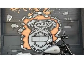 road king special (2021 - 25)