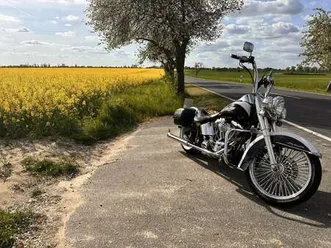 harley-davidson softail