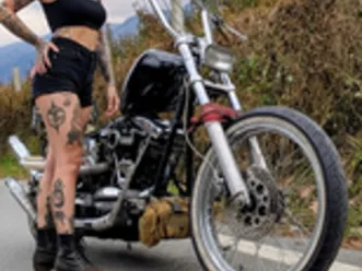 shovelhead 1977 1350 cc