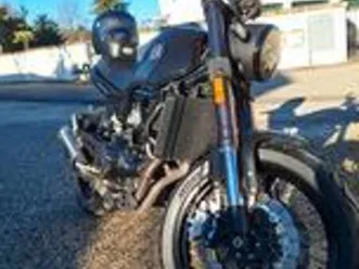 benelli leoncino 500 - 2019