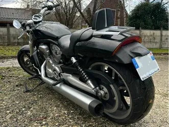 harley davidson v rod