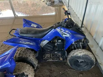 quad yamaha 90 raptor