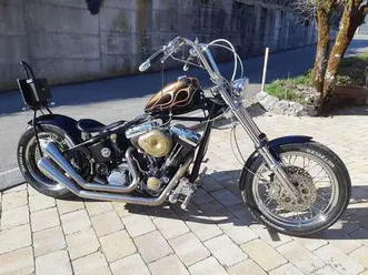 custom bike harley davidson motor im starrrahmen