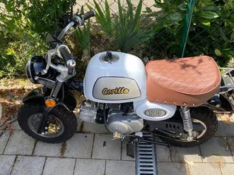 open concepts „gorilla“ leichtkraftrad für wohnmobil, geringe lau