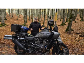 harley davidson panamerica 1250 special