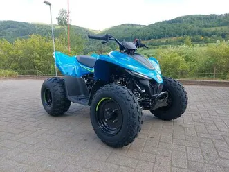 cfmoto cforce 110 kinderquad