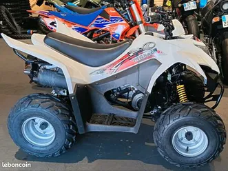 kymco 50 maxxer
