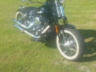 harley davidson cross bones