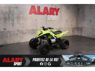 2026 yamaha raptor 110