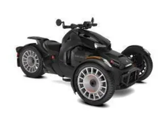 2024 can-am ryker rally