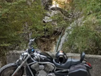 harley davidson vrod