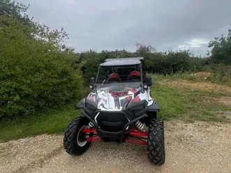 rzr 1000 xp