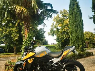 suzuki gsxs 1000