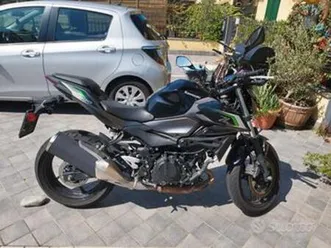 kawasaki z 500 - 2024