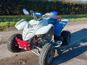 quad 300 ccm adly 300s interceptor