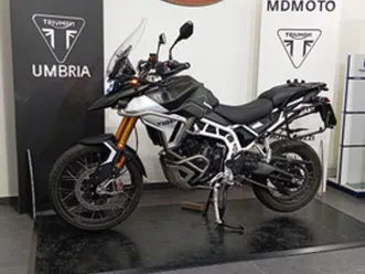 tiger rally pro 2024. cv108