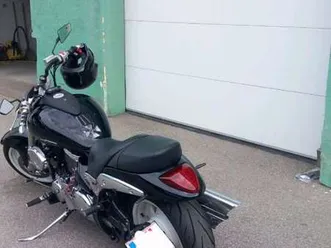 vz1500 intruder