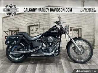 2006 harley-davidson fxstb night train