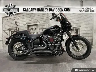 2020 harley-davidson fxbb - softail(r) street bob(r)