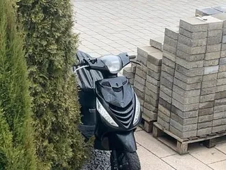 piaggio zip 2-takt roller - läuft einwandfrei